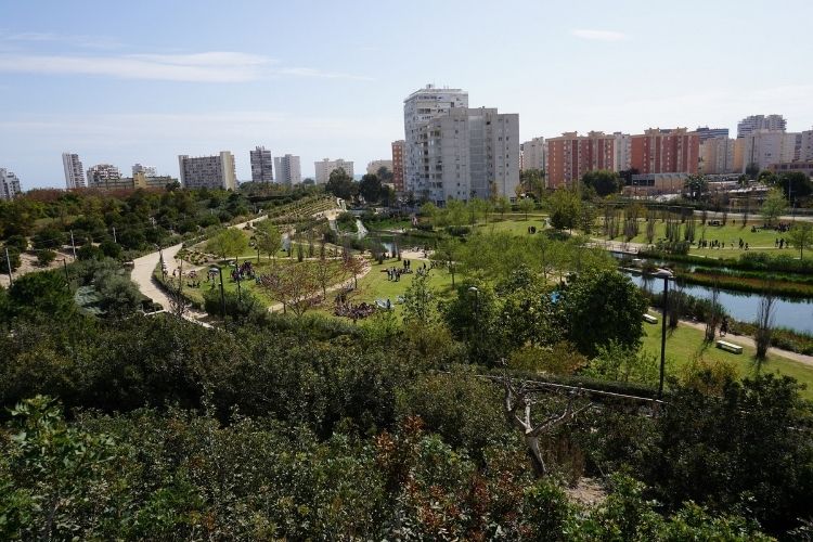 Parque Inundable La Marjal 2019