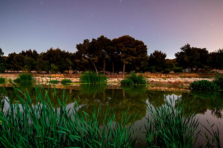 Panorámica del parque de El Recorral de Rojales