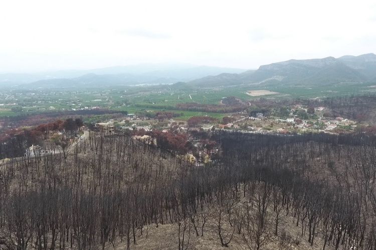 " "