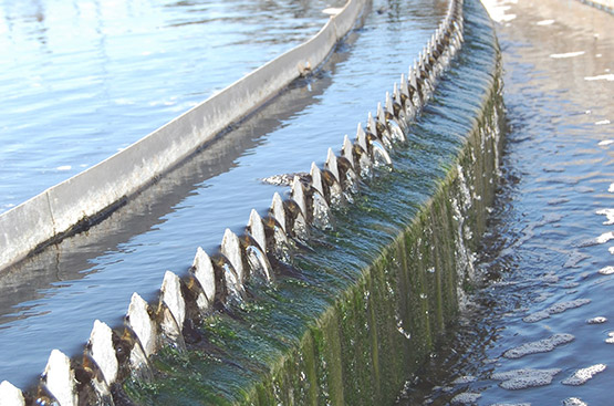 Ir a la noticia La Cátedra Aquae establece cinco tipos de indicadores para medir la economía circular del agua en España