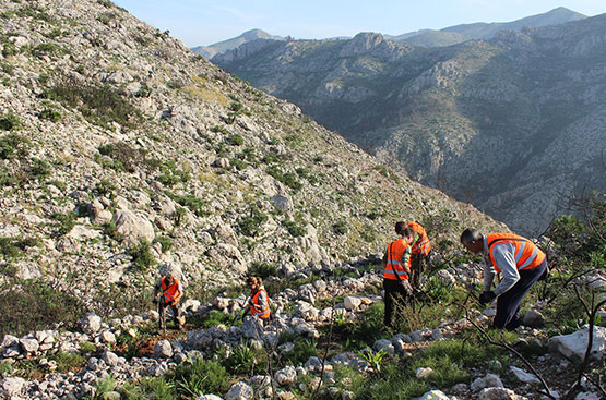 Ir a la noticia Fundación Aquae, la única fundación de España que obtiene este año el triple sello del Ministerio de Transición Ecológica