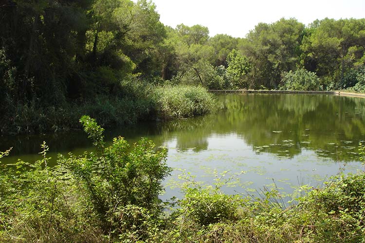 Zona de actuación del Proyecto Guardian