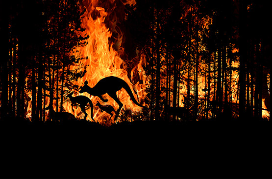 Ir a la noticia Fundación Aquae, la fundación de Hidraqua, nos aporta las claves para entender el fenómeno de los ‘megaincendios’ forestales