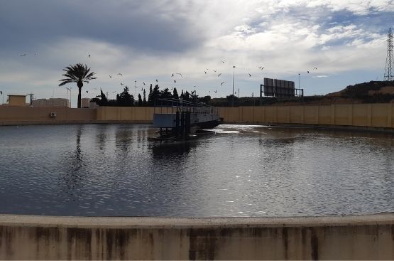 Ir a la noticia Sergio Azorín: “Gracias a la digitalización y al compromiso de Hidraqua en la lucha contra la crisis climática superamos la generación de energía renovable en 2020”