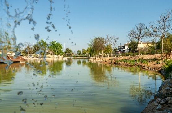 Ir a la noticia Amelia Navarro: “Digitalizar las soluciones basadas en la naturaleza nos acerca a la reconstrucción verde e innovadora promovida por la Unión Europea”