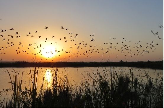 Ir a la noticia Hidraqua presenta sus soluciones para la gestión sostenible del agua y la lucha contra el cambio climático en el Smart Primary