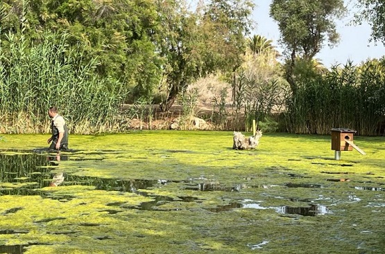 Ir a la noticia Hidraqua y sus empresas participadas destinan cerca de dos millones de m3 de agua regenerada para uso ambiental en la Comunitat Valenciana