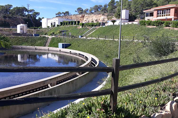 Ir a la noticia Hidraqua y sus empresas participadas lanzan el programa BiObserva ‘STOP-invasoras’ para el control de especies invasoras en sus instalaciones