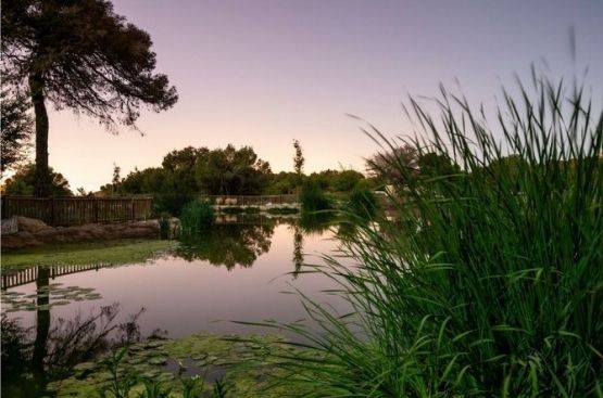 Ir a la noticia Hidraqua y sus empresas mixtas invertirán 47 millones de euros en innovación, sostenibilidad y resiliencia de las ciudades en la Comunitat Valenciana durante 2022