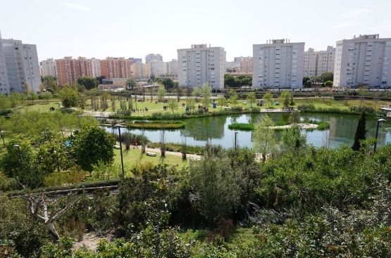 Ir a la noticia ‘Encuentros para la biodiversidad’ analiza el parque alicantino de La Marjal, eficaz sistema contra riadas y hábitat para aves