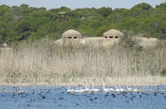Ir a la noticia Hidraqua impulsa las infraestructuras verdes, la reutilización y la concienciación contra el avance del cambio climático