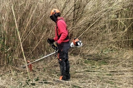 Ir a la noticia Cortafuegos verdes para proteger de los incendios forestales al Parc Natural y la Canyada