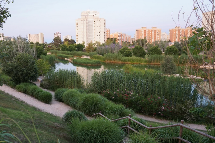 Ir a la noticia Hidraqua y sus empresas participadas impulsan la circularidad del agua, clave para un futuro sostenible, en la Comunitat Valenciana