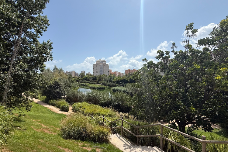 Ir a la noticia Hidraqua celebra el décimo aniversario del parque inundable La Marjal como referente internacional anti-inundaciones