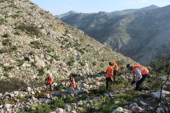 Ir a la noticia La plantación de Pego organizada por Hidraqua, Fundación Aquae y el Ayuntamiento ya ha capturado 30 toneladas de CO2