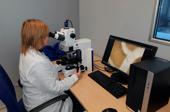 Ir a la noticia Fundación Aquae y la Universidad de Alicante impulsan un Doctorado Industrial sobre Microplásticos