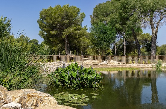 Ir a la noticia Hidraqua expone sus soluciones de ciudad durante la V Jornadas de Investigación sobre Cambio Climático organizadas por la UPV