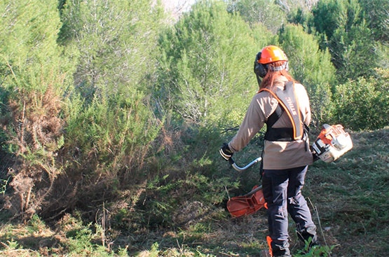 Ir a la noticia El proyecto GUARDIAN inicia los trabajos de gestión forestal para la prevención de incendios en 37 hectáreas del Parque Natural del Turia